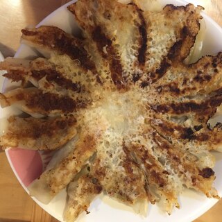 手作り餃子もここまで来たのか